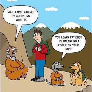 About Me. What I am ISO.